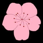 黄游APP应用